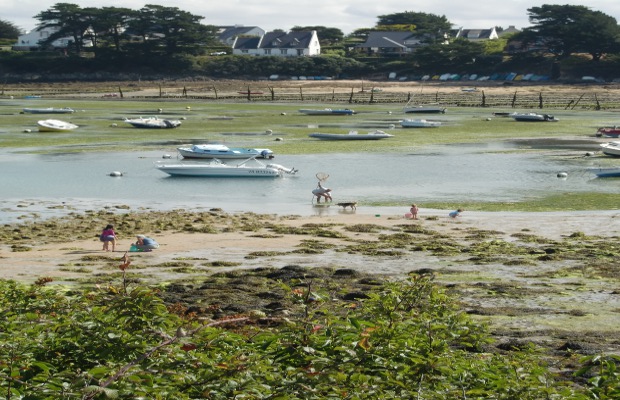 Elodie Maison - Pêcheurs à pied dans le Golfe du Morbihan